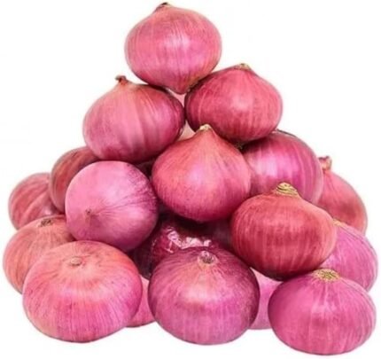 onion