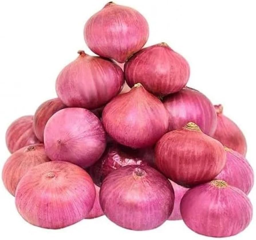 onion onion