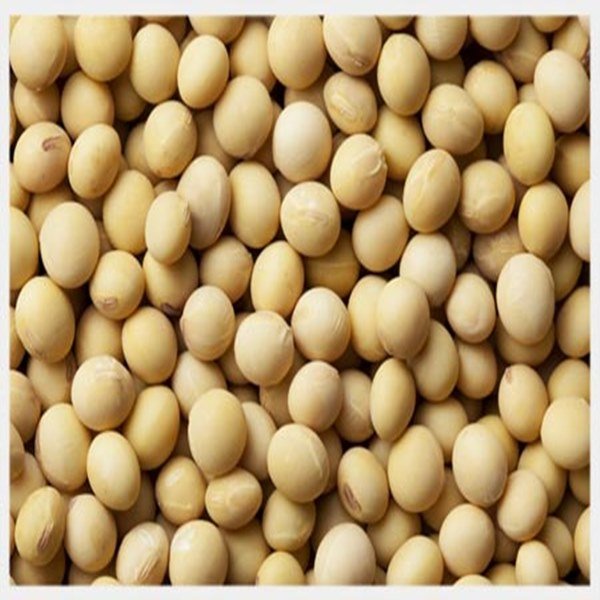 soybeans soybeans
