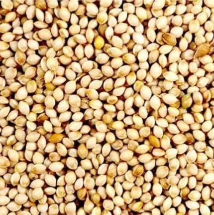 white french millet