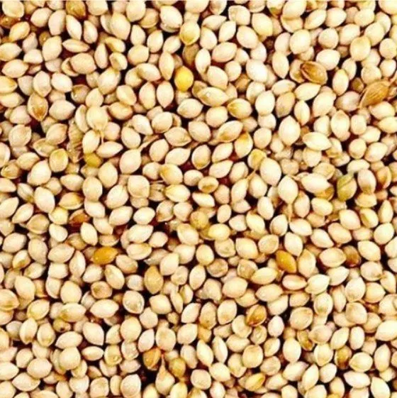 white french millet white french millet